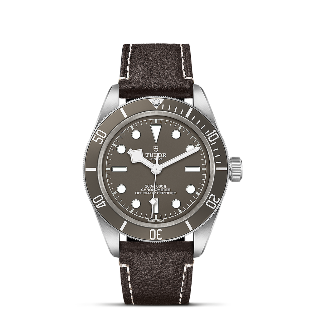 Tudor Black Bay 58-925 Ref. M79010SG-0001